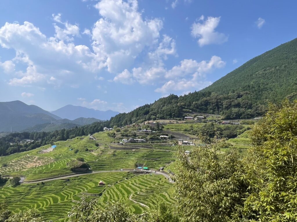 【丸山千枚田】