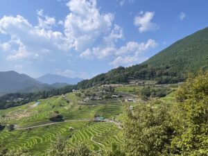 【丸山千枚田】